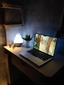 Bed and Bunk Siargao