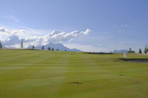 Červene maky - red poppies
