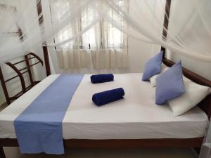 Coconut Villa Madiha