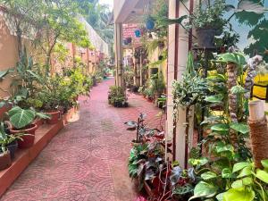 Fernandes Homestay- Apartment near the beach- Feliz