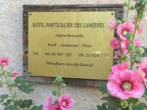 Appart'hotels Hotel Particulier des Lumieres : photos des chambres