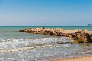 Blu Wave Apartment Golem