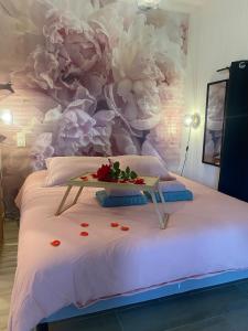 Suite romantique & spa Prova - Love room - Rétroprojecteur Netflix