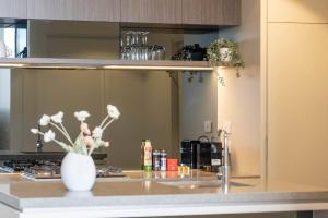 Terracotta Skies - Soak the Sunset, Sip in Style