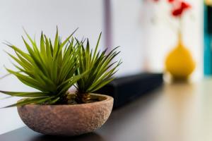 Sunrise Atalayas Luxury