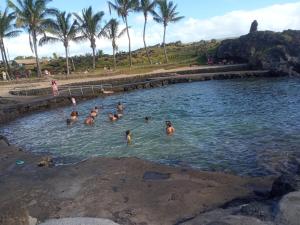 kauaraki Céntrica e independiente