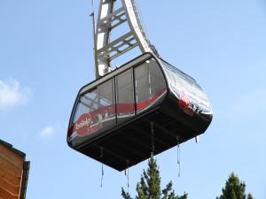 Glacier Views & Ski Trails