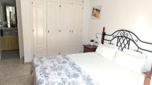 Central Benalmádena, pool & terraces