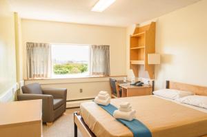 Saint Marys University Conference Services & Summer Accommodations