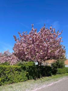 Beautiful apartament