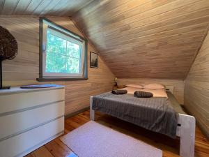 Domki w Dolinie Wieżycy