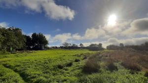 Kerrib Farm Shepherds Hut