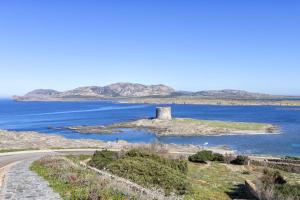 Trilocale Fiordaliso img22