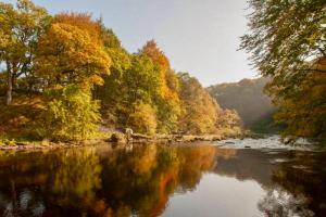 Autumn Lakefront Retreat - Free Fishing