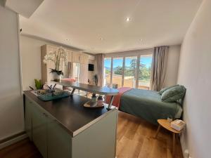 Appartement avec terrasse proche Cassis