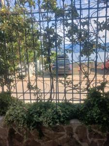 Studio apartman Monte 1