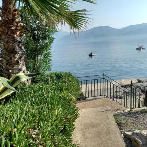 Studio apartman Monte 1