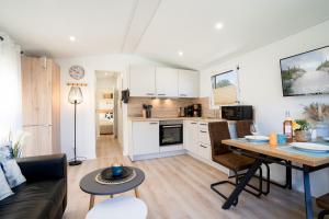 Ostseecamp Muscheltraum