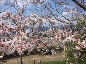 Kisuien - Vacation STAY 55464v