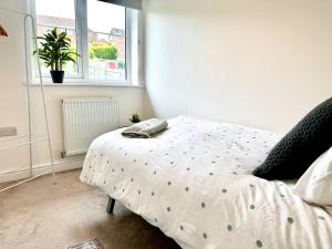 New Five bed house with parking in St leonards