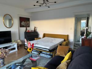 Central peak of Embourg Apartment