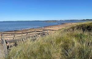 Amazing Home In Halmstad With Sauna