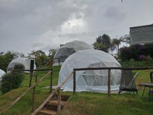 Việt Úc Flower Garden