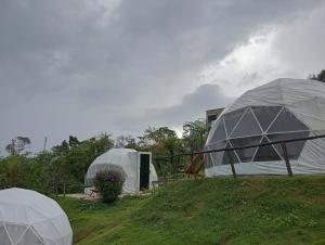 Việt Úc Flower Garden