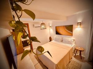 Vila Nativa Caraíva