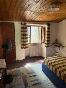 Alloggio nel Parco Alpi Apuane - Carnevale di Viareggio