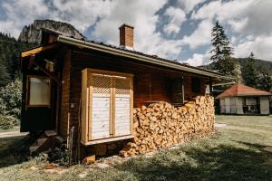 Mountain View Tiny House