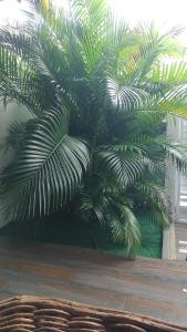 casa de temporada em Piranhas ótimo lugar e conforto lila