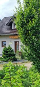 Agroturystyka Kaszuby Villagehome - balia, sauna, alpaki