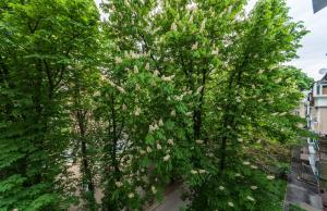 Апартаменты в центре метро Кловская