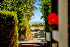 30443-Odder-Svalevej-9