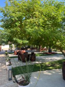 Domeniile Clos des Colombes