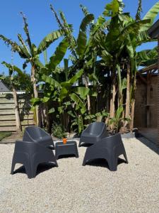 Maison entièrement rénovée