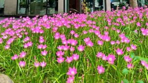 Enjoy the healthy life - Ecopark