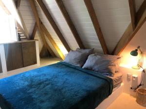 Wunderschöne Karibische Villa Coson Beach