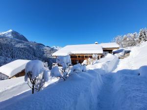 Chalet les Brevins
