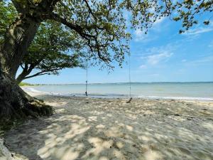 40535-Juelsminde-Pot-Strandby-27