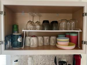 Hidden Tiny Farm Retreat Near Miami, Nature and Animal Experience