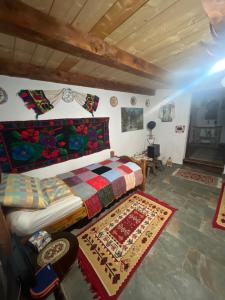 Casa Radu - Zece Hotare