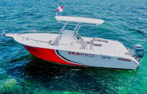 Private Charter - Luxury