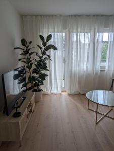 Flat in Central Düsseldorf