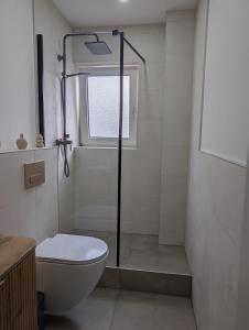 Flat in Central Düsseldorf