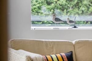 40566-Juelsminde-Norgard-Strand-27