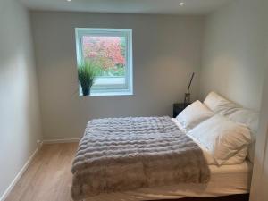 Modern and nice apartment, near the university, UIA