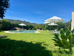 Luna&Limoni Country img15