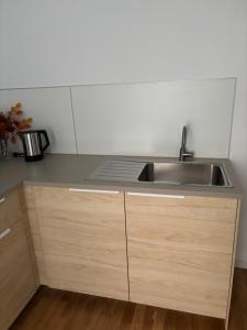 Modern apartment for up to 4 guests, top connection